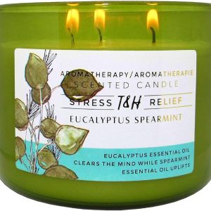 Eucalyptus Spearmint Scented Candle
