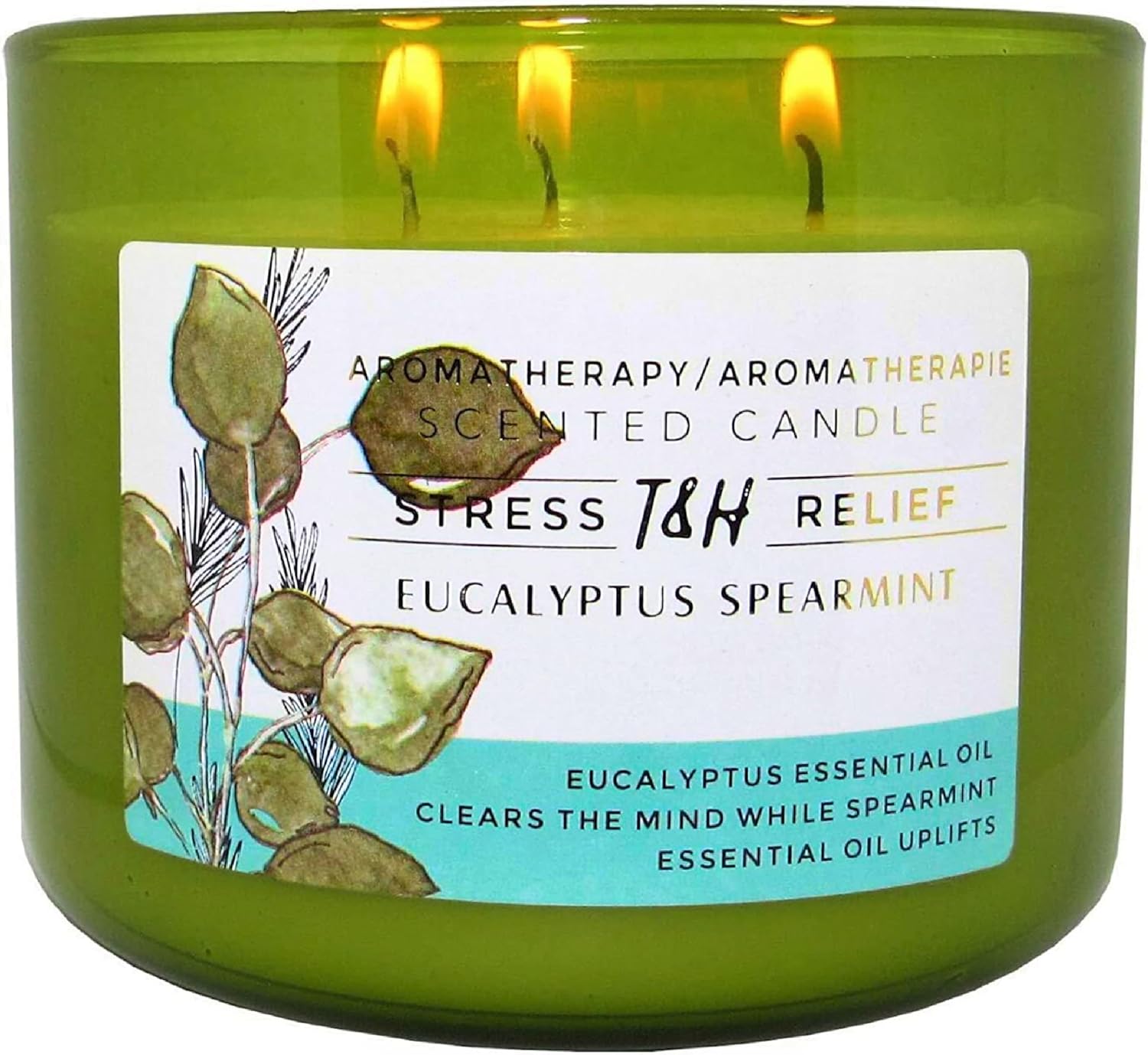 Eucalyptus Spearmint Scented Candle